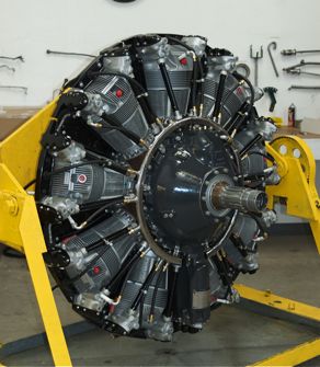 Vintage Radials shop photo